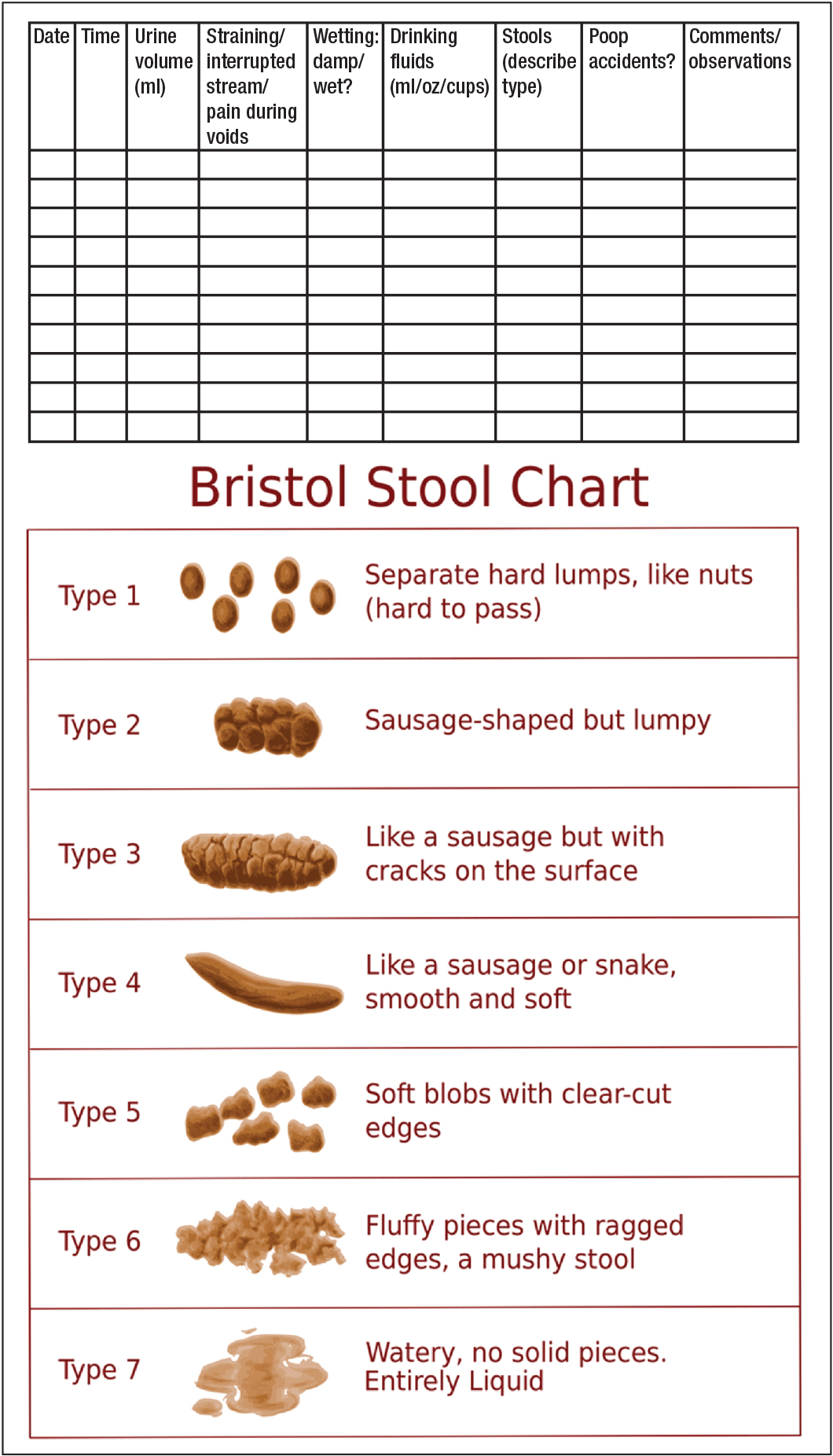 Bowel And Bladder Dysfunction